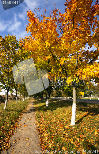 Image of park. autumn  