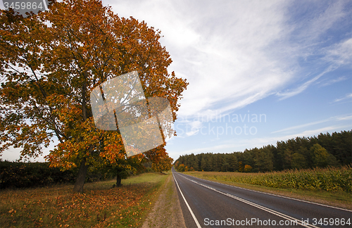 Image of road in the fall  