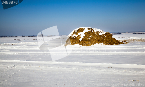 Image of straw stack. winter  