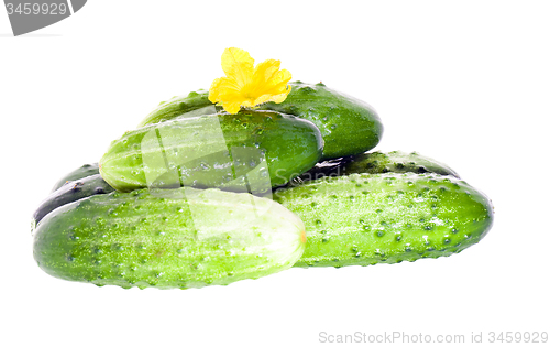 Image of Green cucumbers 