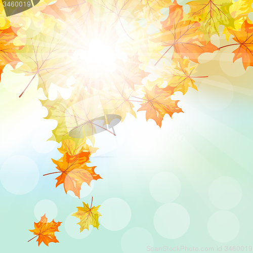 Image of Autumn  Frame