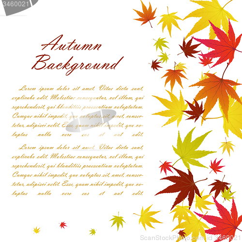 Image of Autumn  Frame