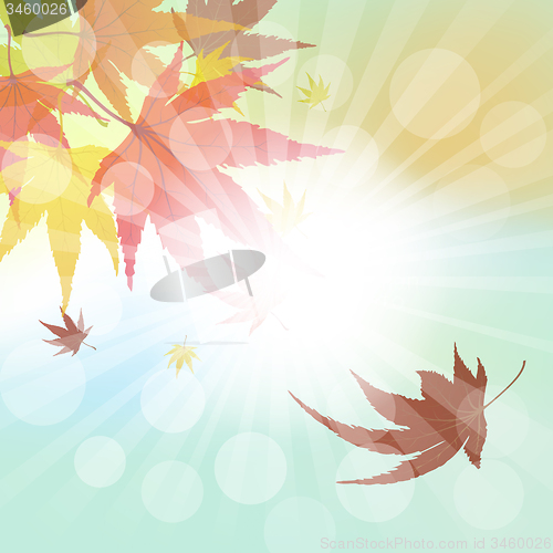 Image of Autumn  Frame