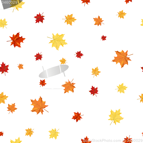 Image of Seamless Maple Pattern