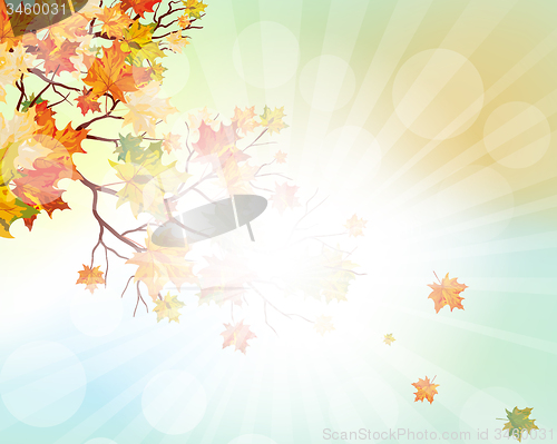 Image of Autumn  Frame