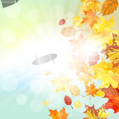 Image of Autumn  Frame