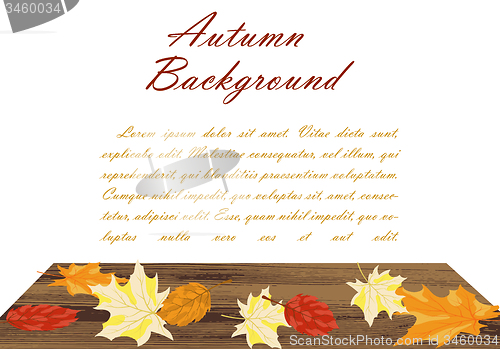 Image of Autumn  Frame