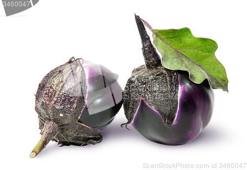 Image of Two round ripe eggplant with green leaf rotated