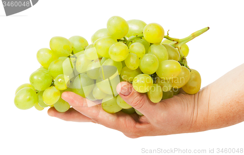 Image of Bright grapes lying in hand