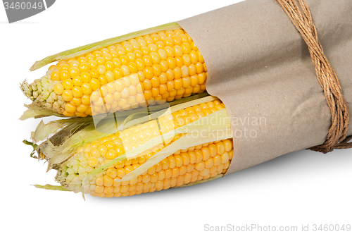 Image of Several corn cob in paper bag tied with rope