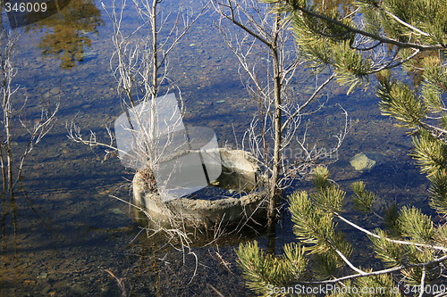 Image of The lake