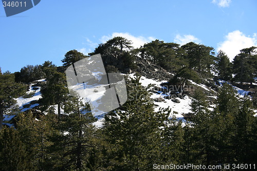 Image of Mountain snow