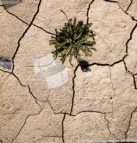 Image of brown dry sand in sahara desert morocco africa erosion and abstr