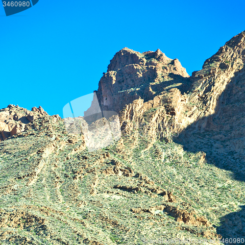 Image of brown bush  in    valley  morocco        africa the atlas dry mo