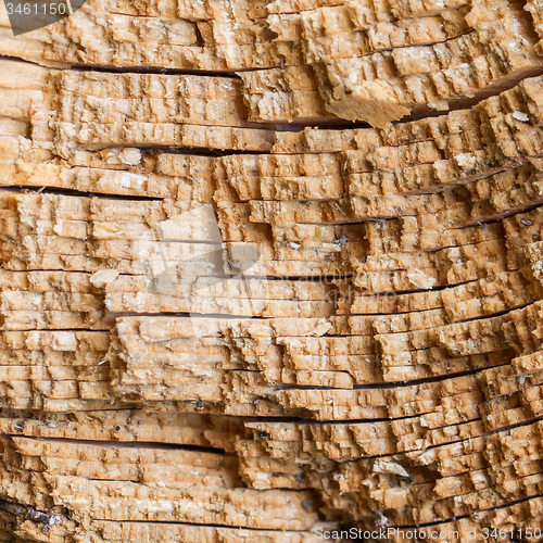 Image of Dark weathered cracked stump wooden texture
