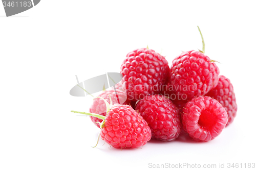 Image of raspberry