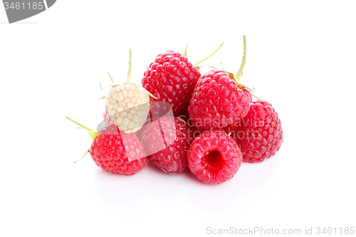 Image of raspberry