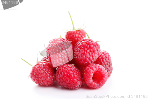 Image of raspberry