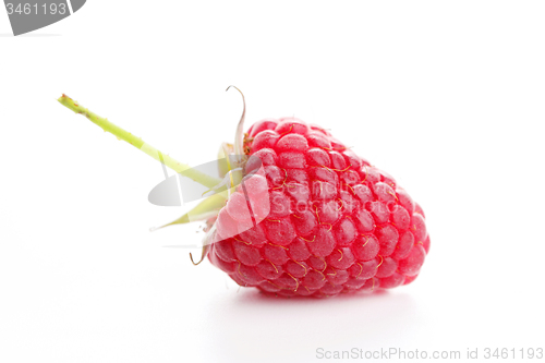 Image of raspberry