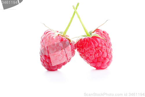 Image of raspberry