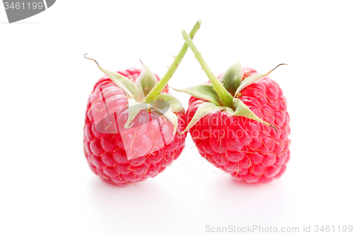 Image of raspberry