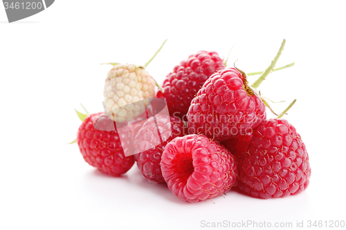 Image of raspberry