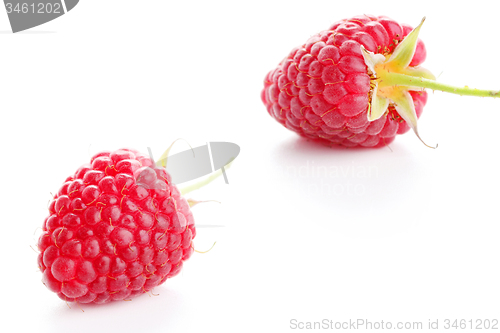 Image of raspberry