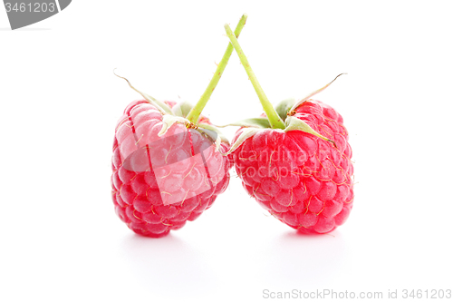 Image of raspberry