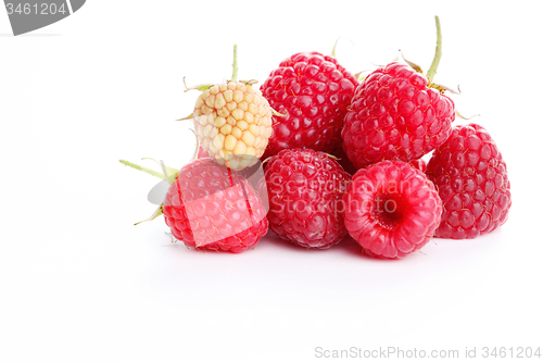 Image of raspberry