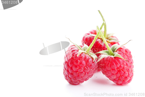 Image of raspberry