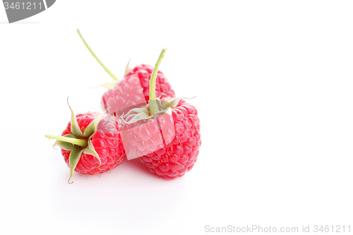 Image of raspberry