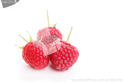 Image of raspberry