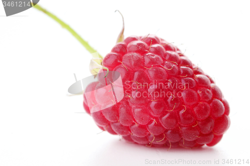 Image of raspberry