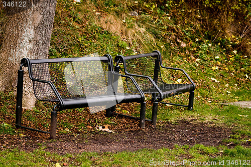Image of Benches in a park
