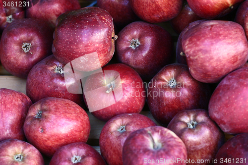 Image of Fruits on market