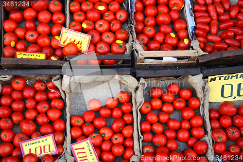 Image of Tomato