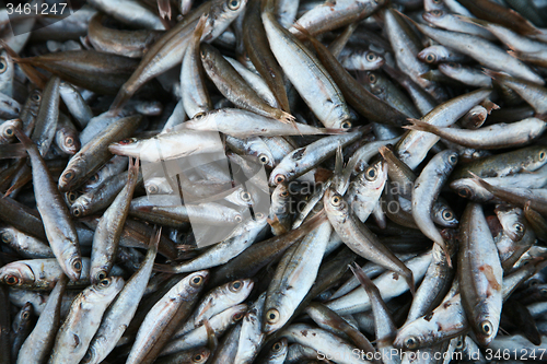 Image of Fish market