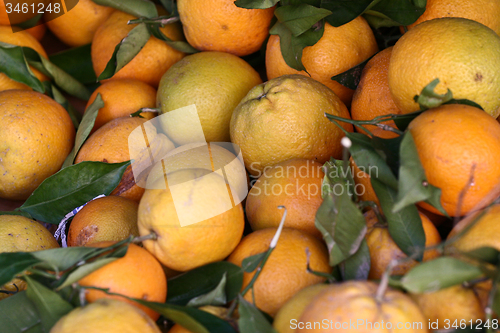 Image of Fruits on market