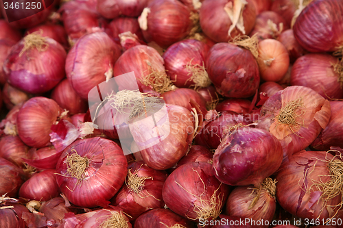 Image of Market