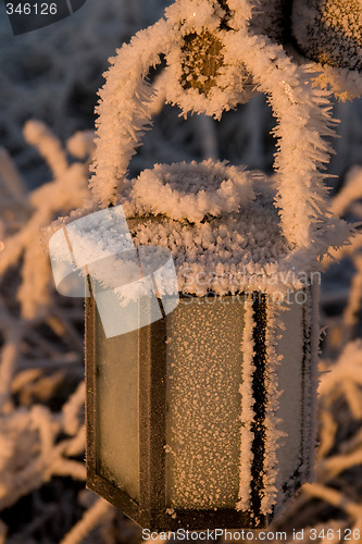 Image of Frozen lantern