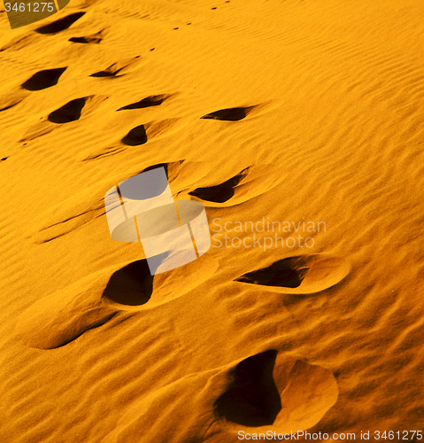 Image of the brown sand dune in the sahara morocco desert 