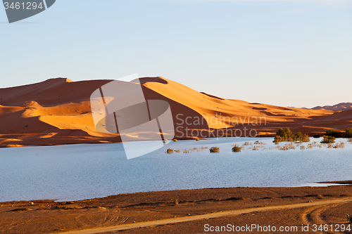 Image of sunshine in th  yellow  desert  and     dune