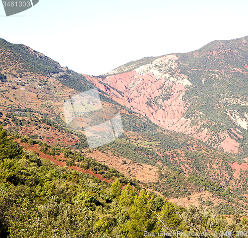 Image of the    dades valley in atlas moroco africa ground tree  and nobo