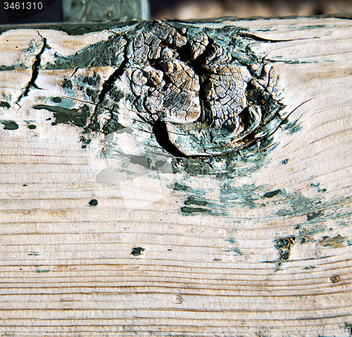 Image of metal nail dirty stripped paint in the brown wood door and rusty