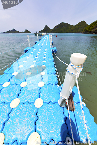 Image of plastic pier  coastline of a  green lagoon and tree  rope