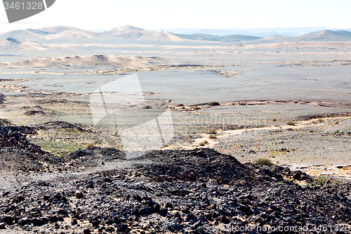 Image of mountain old fossil in  the desert of morocco sahara 