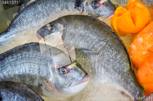 Image of .Large Mediterranean fish caught on the island of Crete.