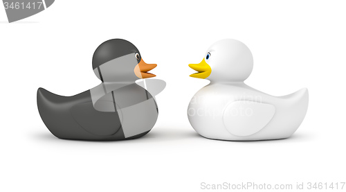 Image of black and white duck