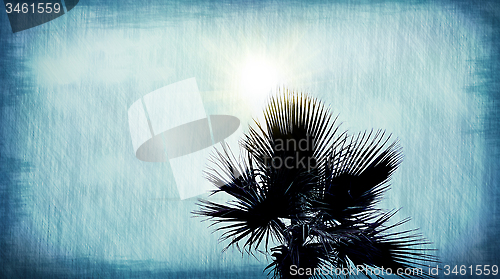 Image of Palm tree abstract blue grunge background