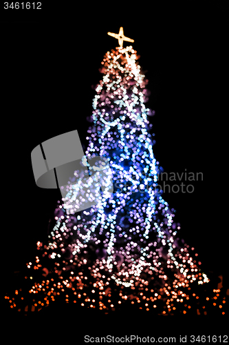 Image of christmas tree